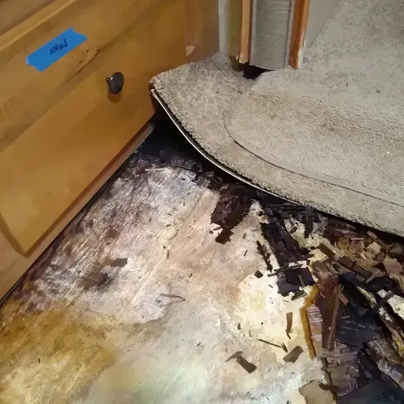 Wood Floor Water Damage in Kaibito, AZ